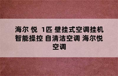 Haier/海尔 悦+ 1匹 壁挂式空调挂机 智能操控 自清洁空调 海尔悦+空调